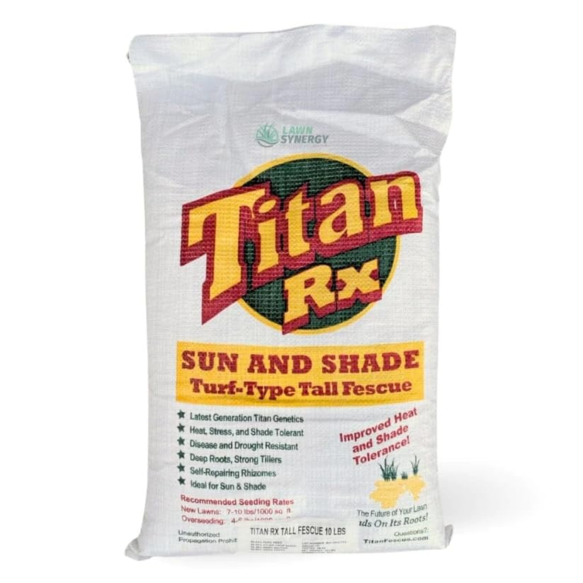 10 lbs Turf-Type Tall Fescue Grass Seed K67443