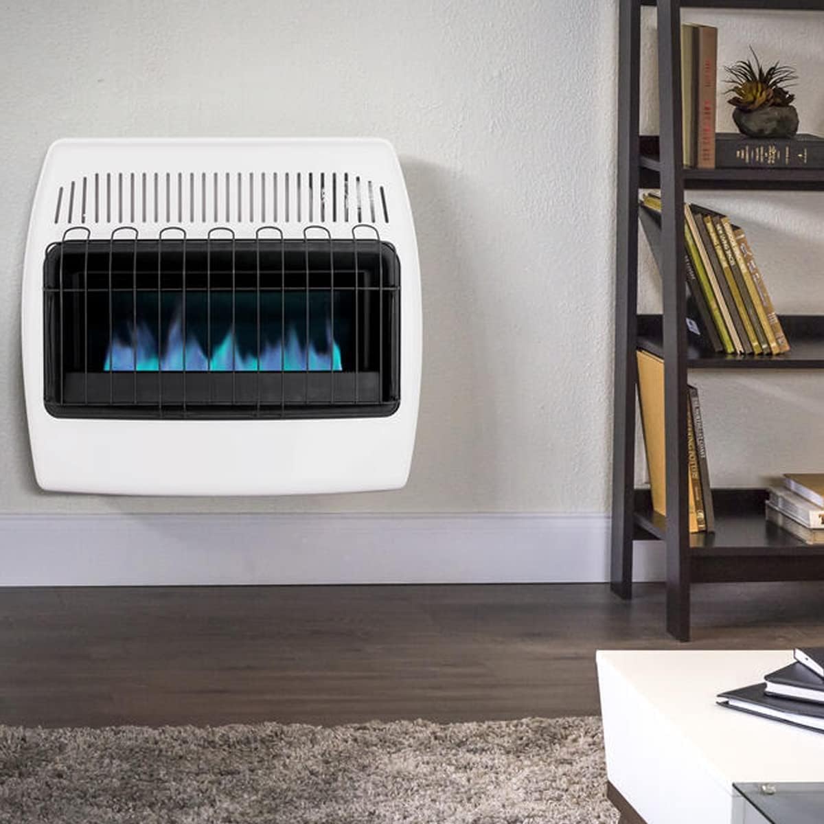 White Propane Natural Gas Wall Heater N720