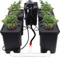 7-Gallon Recirculating Deep Water Culture Hydroponic System Kit K312