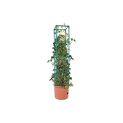 Heavy Duty Tomato Barrel with 4' Tower V8915