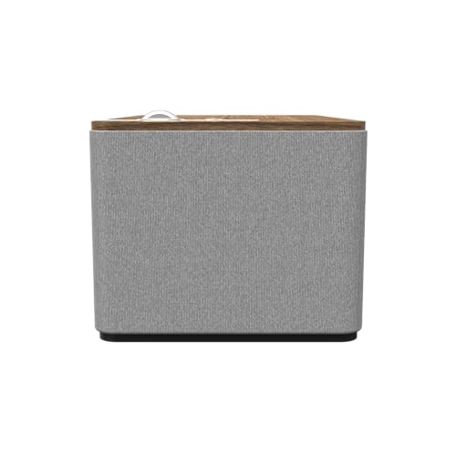 Walnut Bluetooth Speaker System O367