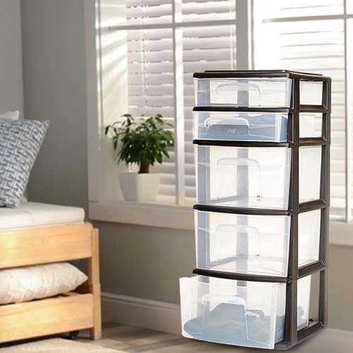 5-Tier Clear Plastic Storage Organizer with Black Frame P2036