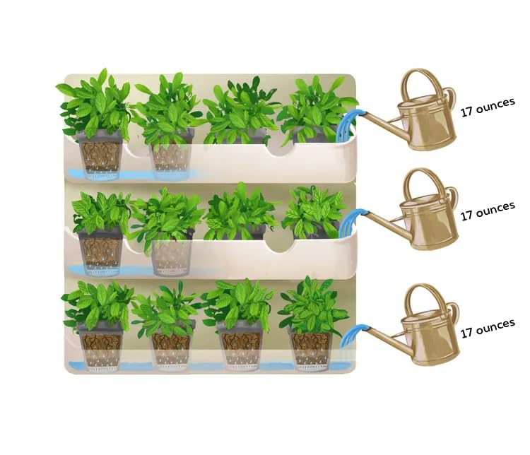 White Wall Planter with Black Square Pots M350