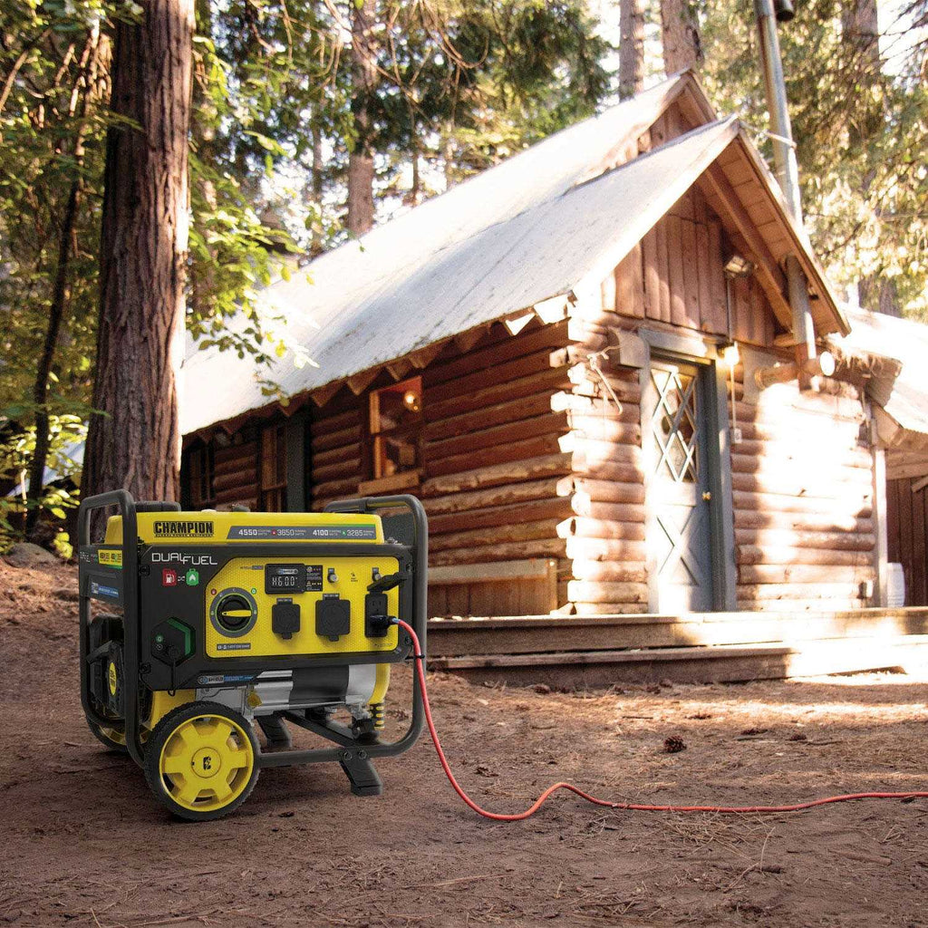 3650 W Dual Fuel Generator Y789
