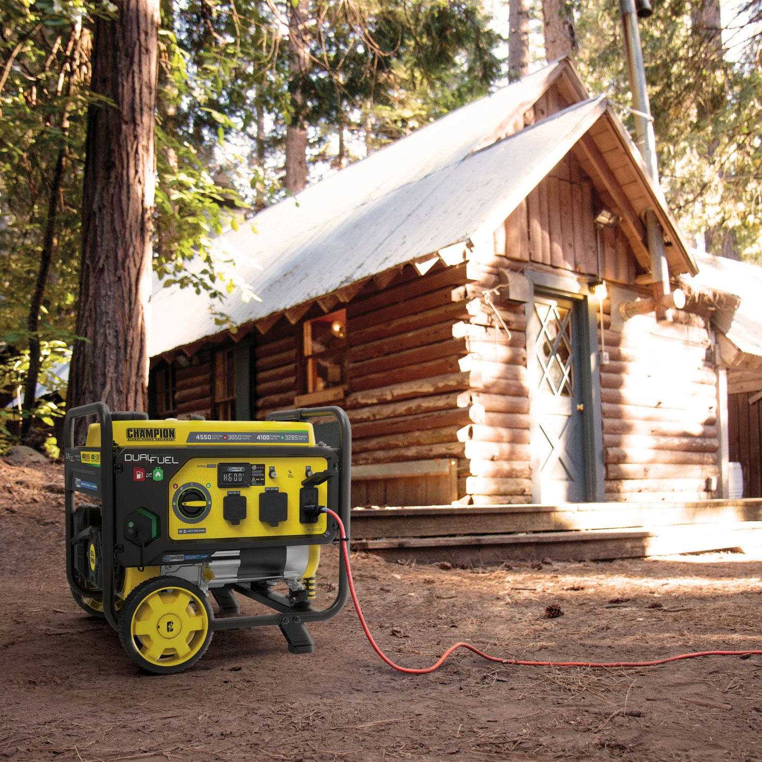 3650 W Dual Fuel Generator Y789