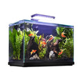 Glass Versa Aquarium E367974