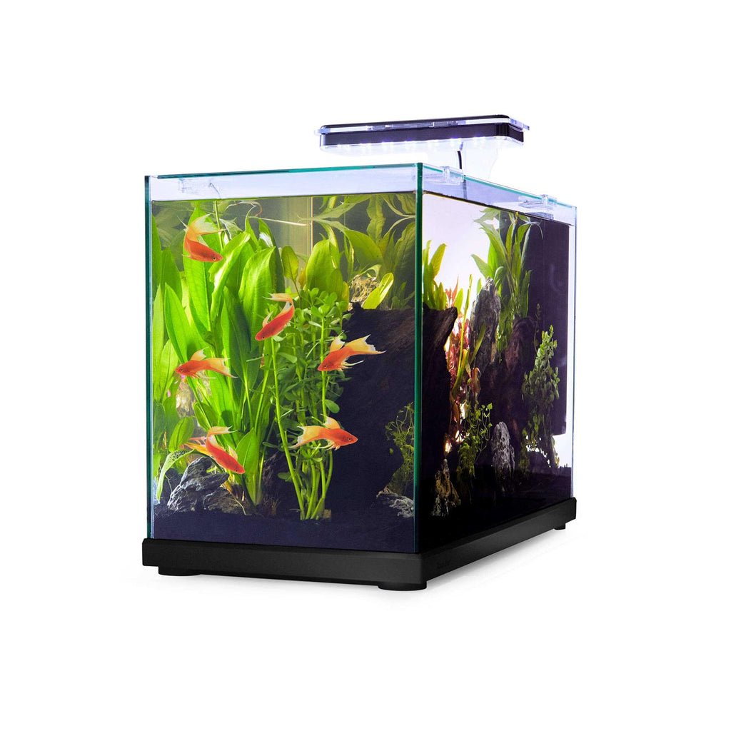Glass Versa Aquarium E367974