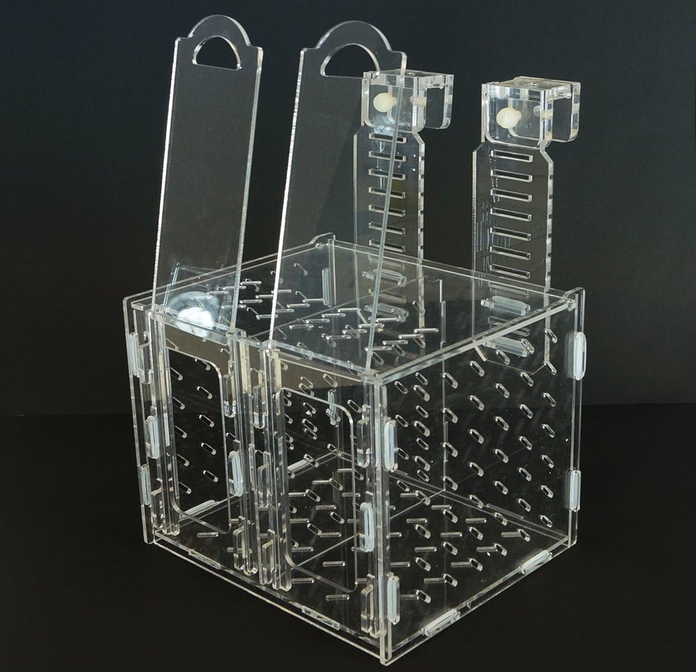 Collapsible Acclimation Box U188