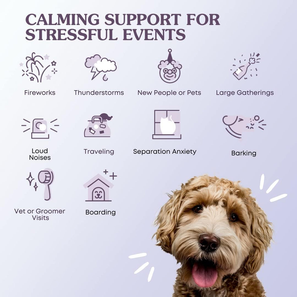 Calming Supplement for Dogs & Cats - 60 Scoops H424332