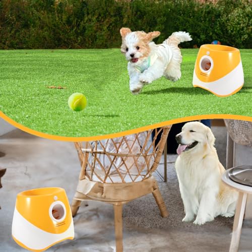 Green Blue Automatic Ball Launcher J467