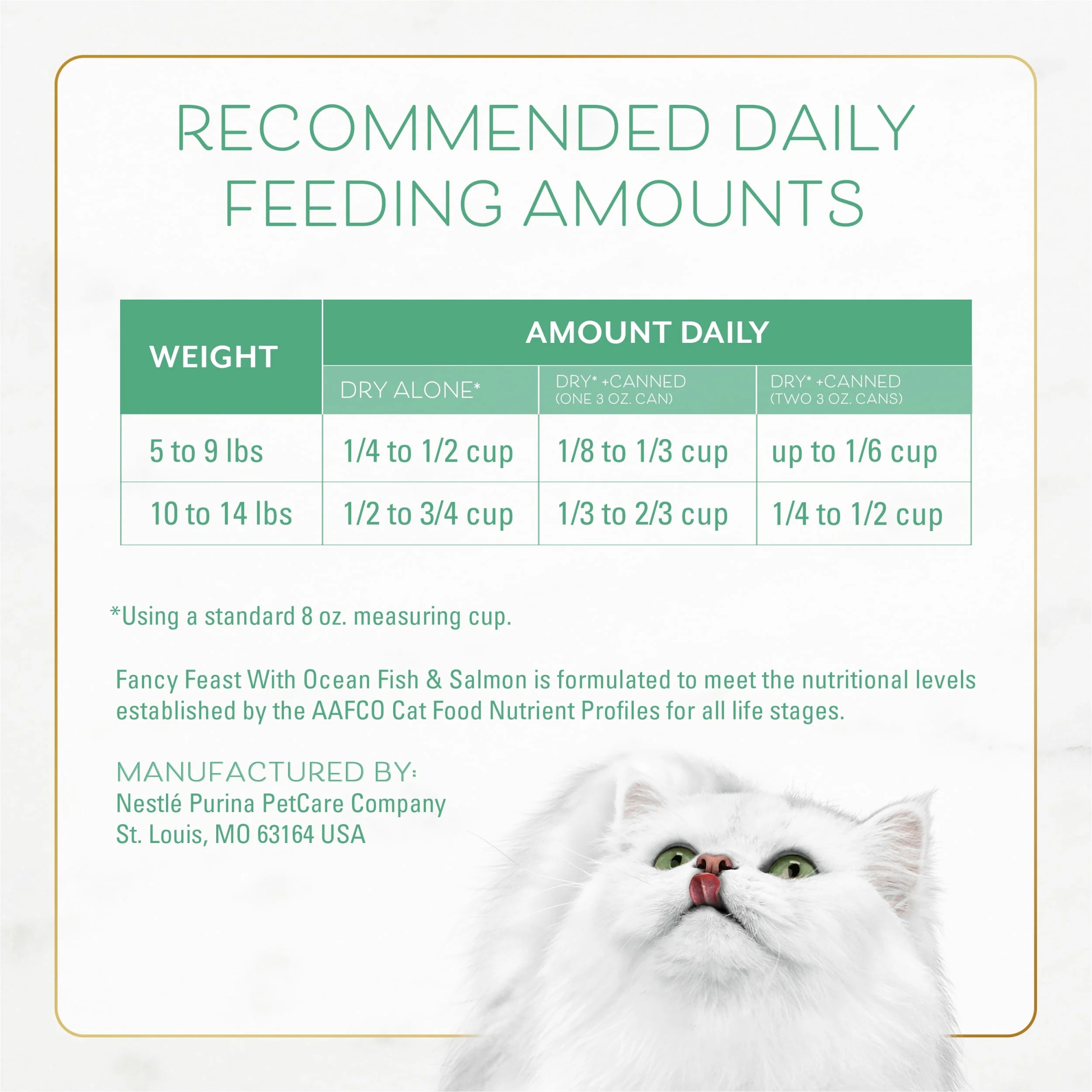 Dry Cat Food with Ocean Fish and Salmon R731698