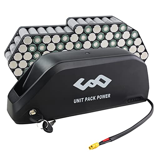 52V 19.2AH Electric Bicycle Lithium Battery with Charger N2370
