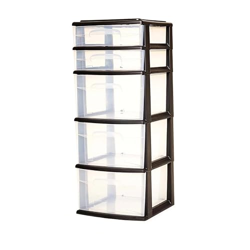 5-Tier Clear Plastic Storage Organizer with Black Frame P2036