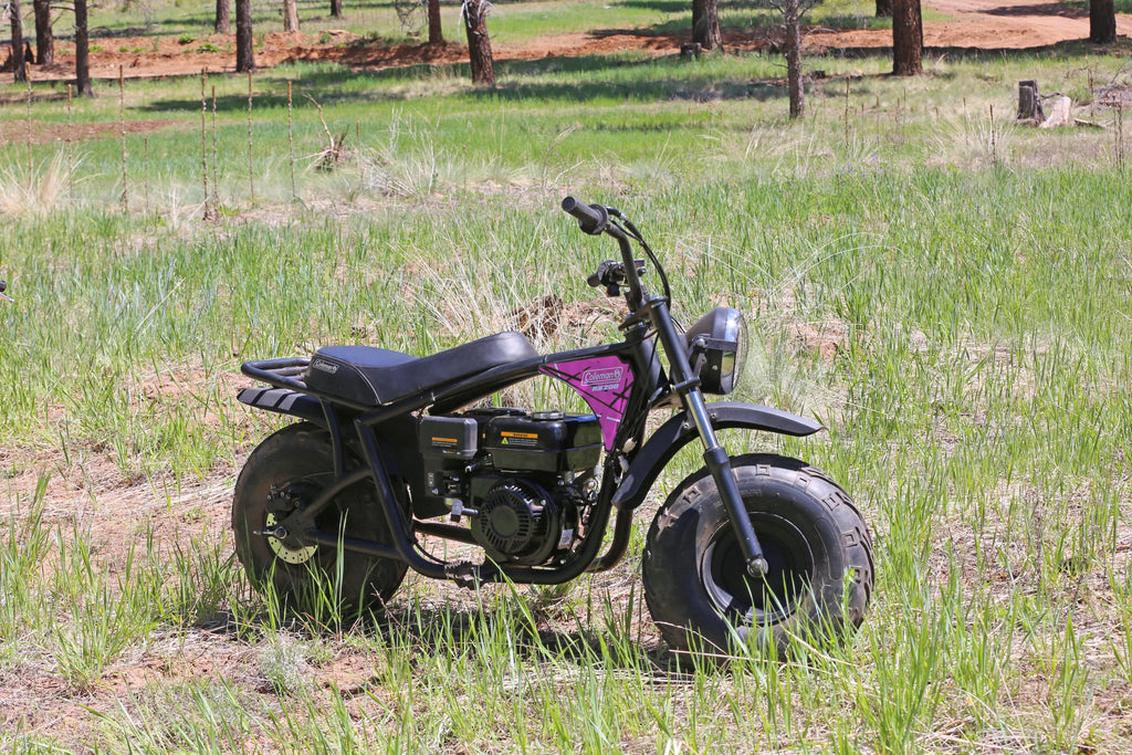 Pink Gas Powered Ride-On Mini Bike N3003