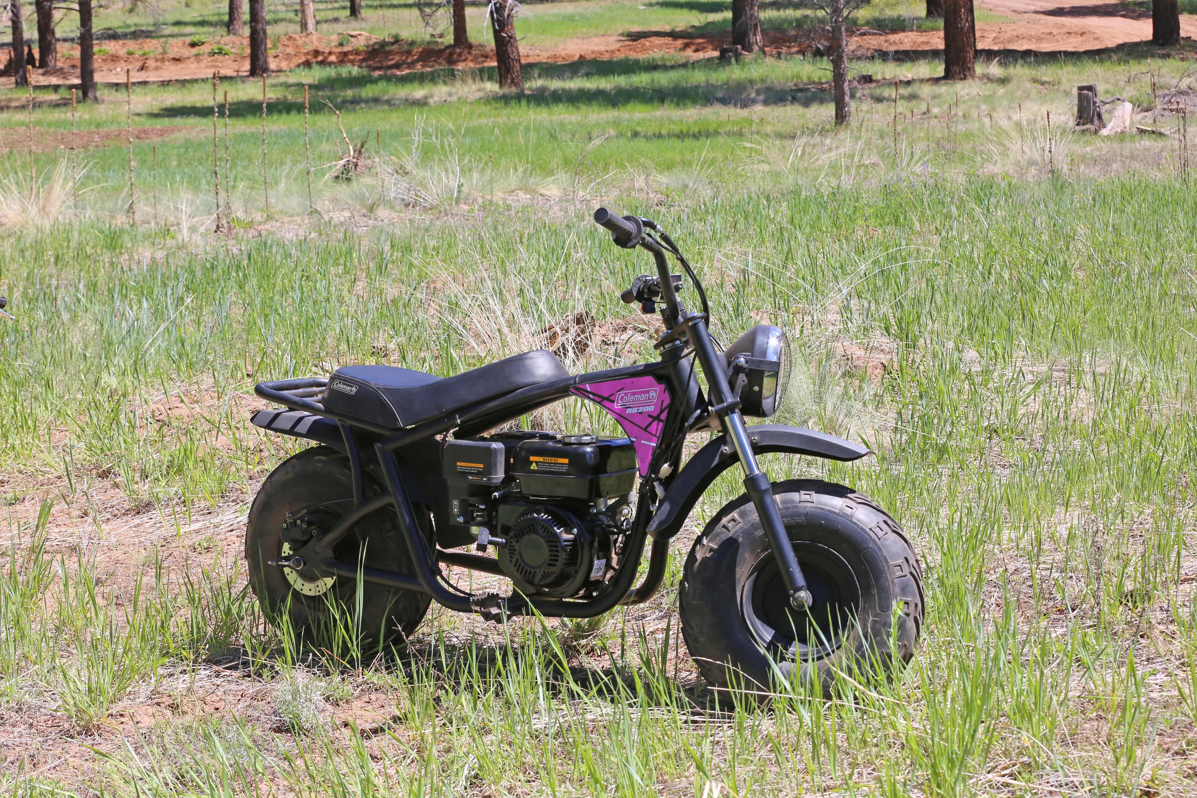 Pink Gas Powered Ride-On Mini Bike N3003