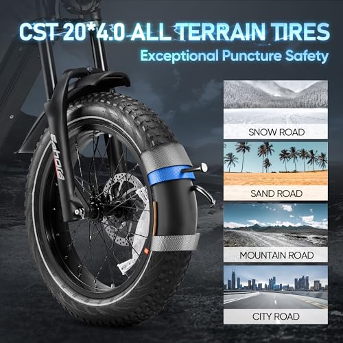 52V 60Ah 20" Fat Tire Full Suspension Electric Bike Q8396