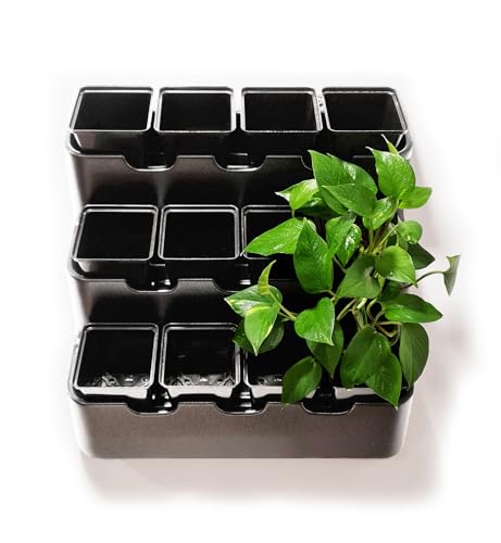 White Wall Planter with Black Square Pots M350