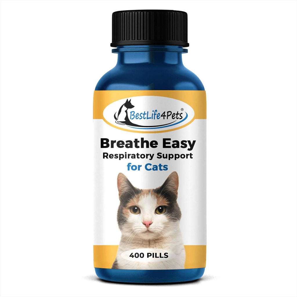 Breathe Easy for Cat Z313