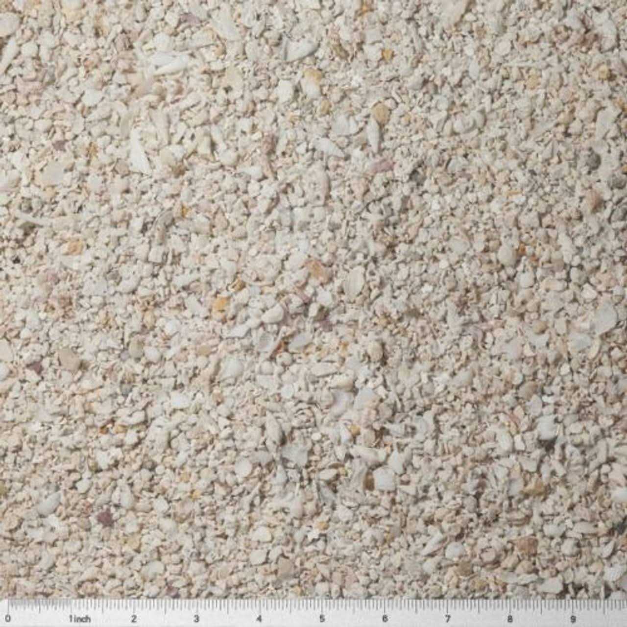 Special Grade Reef Sand F26934