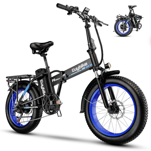 20" Fat Tire Folding Electric Bike with 48V 20AH Removable Battery Q99011