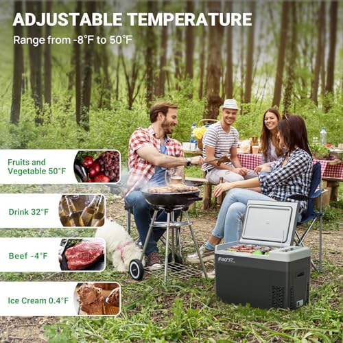 12V Portable Car Refrigerator Freezer Y6496