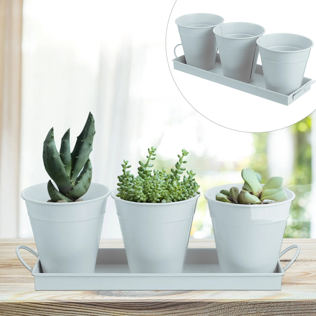 6 pcs Garden Flower Pot with 1pc Tray R34198