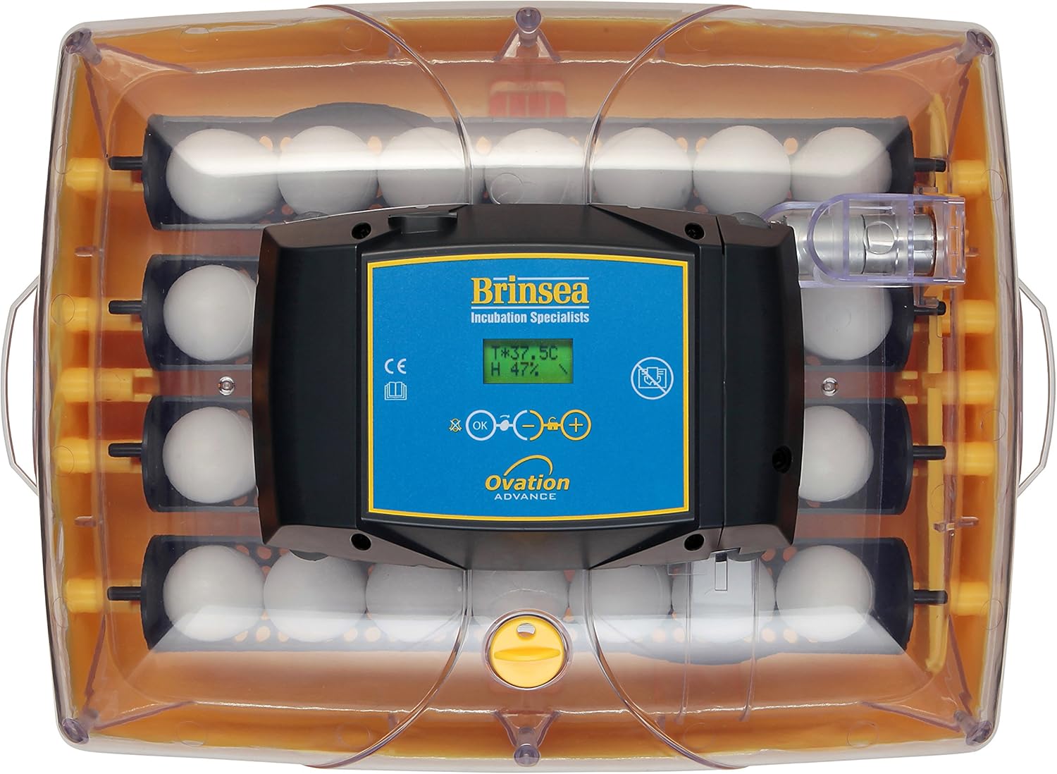 Automatic Egg Incubator with Humidity Display H975