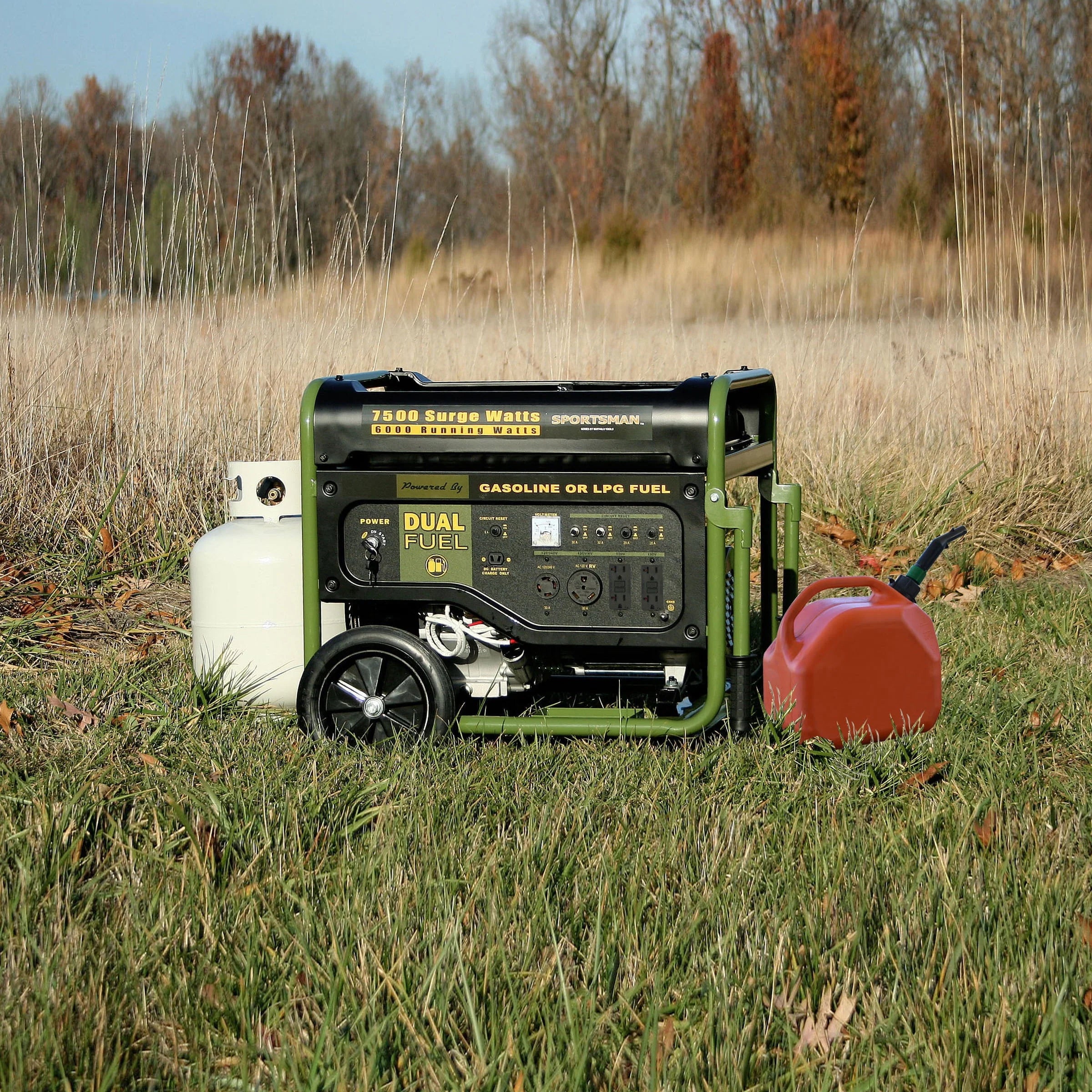 7500 Watts Dual Fuel Portable Generator W9278