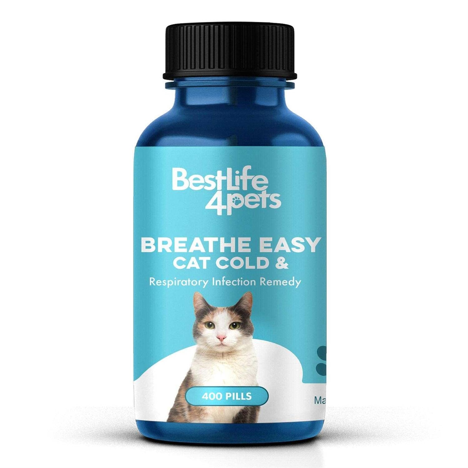 Breathe Easy for Cat Z313
