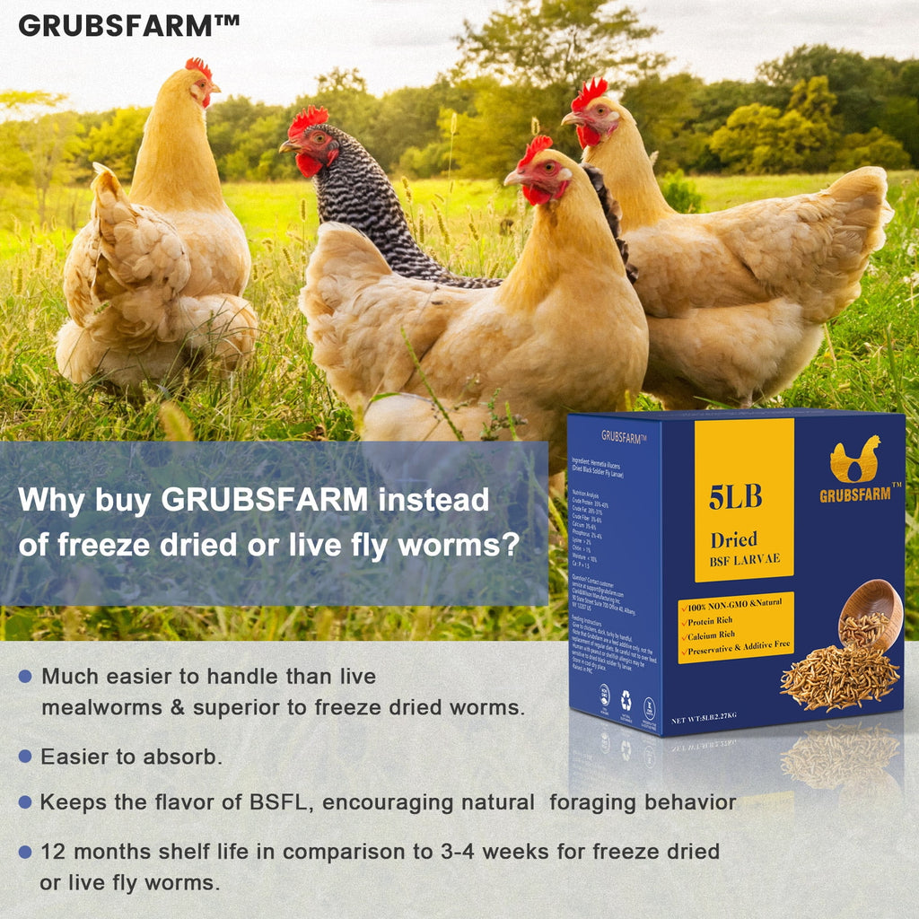 5 LBS Chicken Treats F446