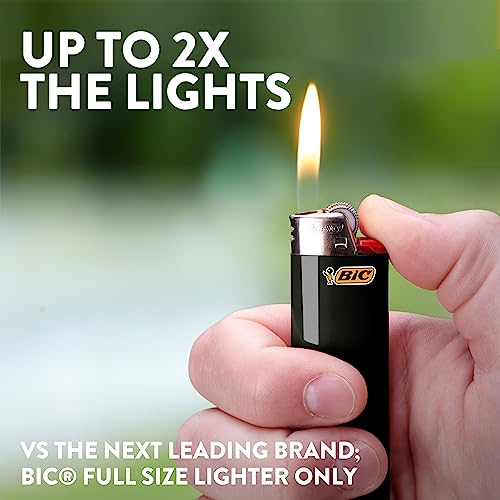 8 Count Pack of Lighters N117