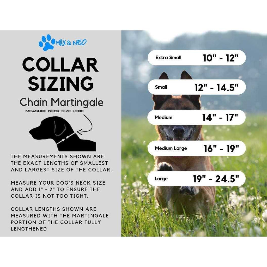 Stainless Steel Chain Martingale Collar P848818