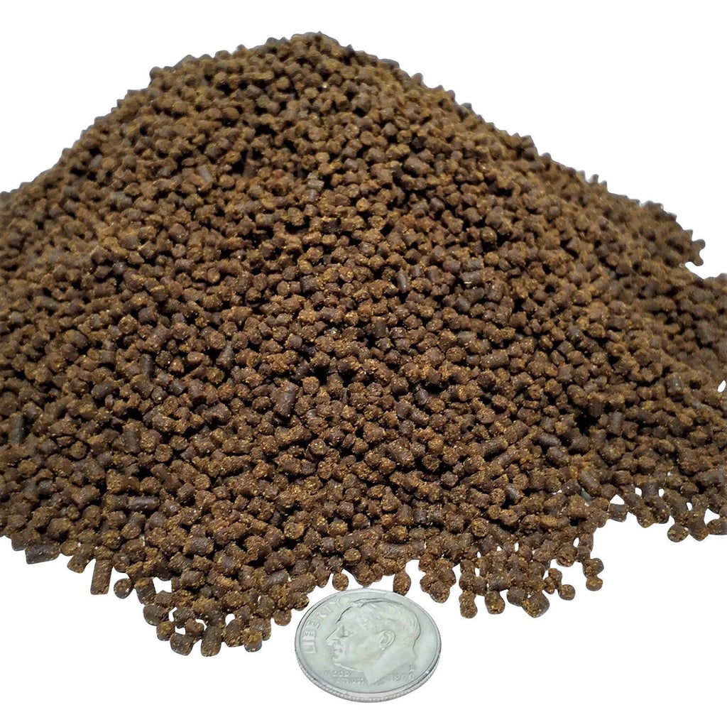 3-lb Soft Moist Sinking Crumbles Axolotl Food Q96796