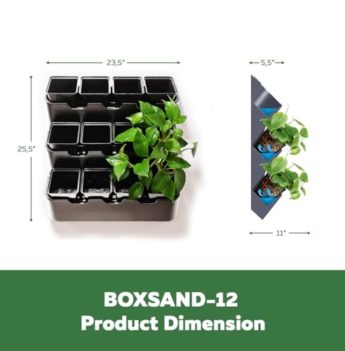 White Wall Planter with Black Square Pots M350