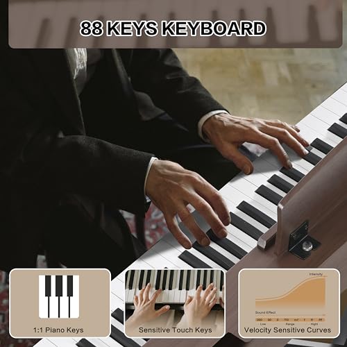 88 Key Semi Weighted Digital Piano with Bench, Stand, Sustain Pedal, Headphone (Black) G9435
