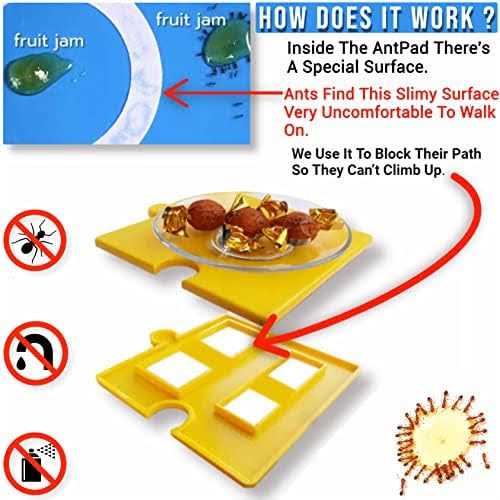 Ant Proof Dog Cat Pet Bowl P30568