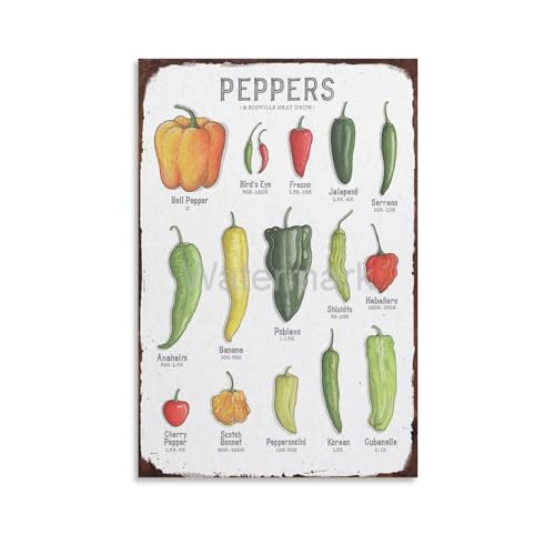 16x24inch Laminated Kitchen Poster R912