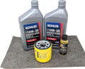 Oil Change Kit with 10W30 Oil and Fuel Treatment G417714