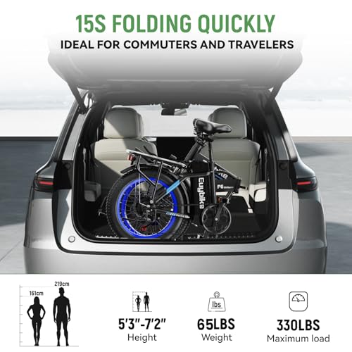 20" Fat Tire Folding Electric Bike with 48V 20AH Removable Battery Q99011