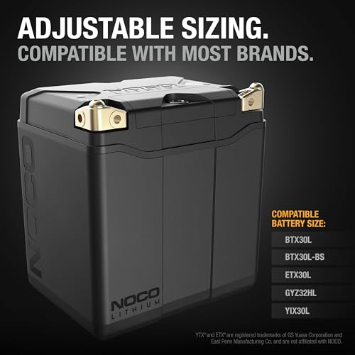 12V Lithium Powersport Battery Group 30 8Ah A124727