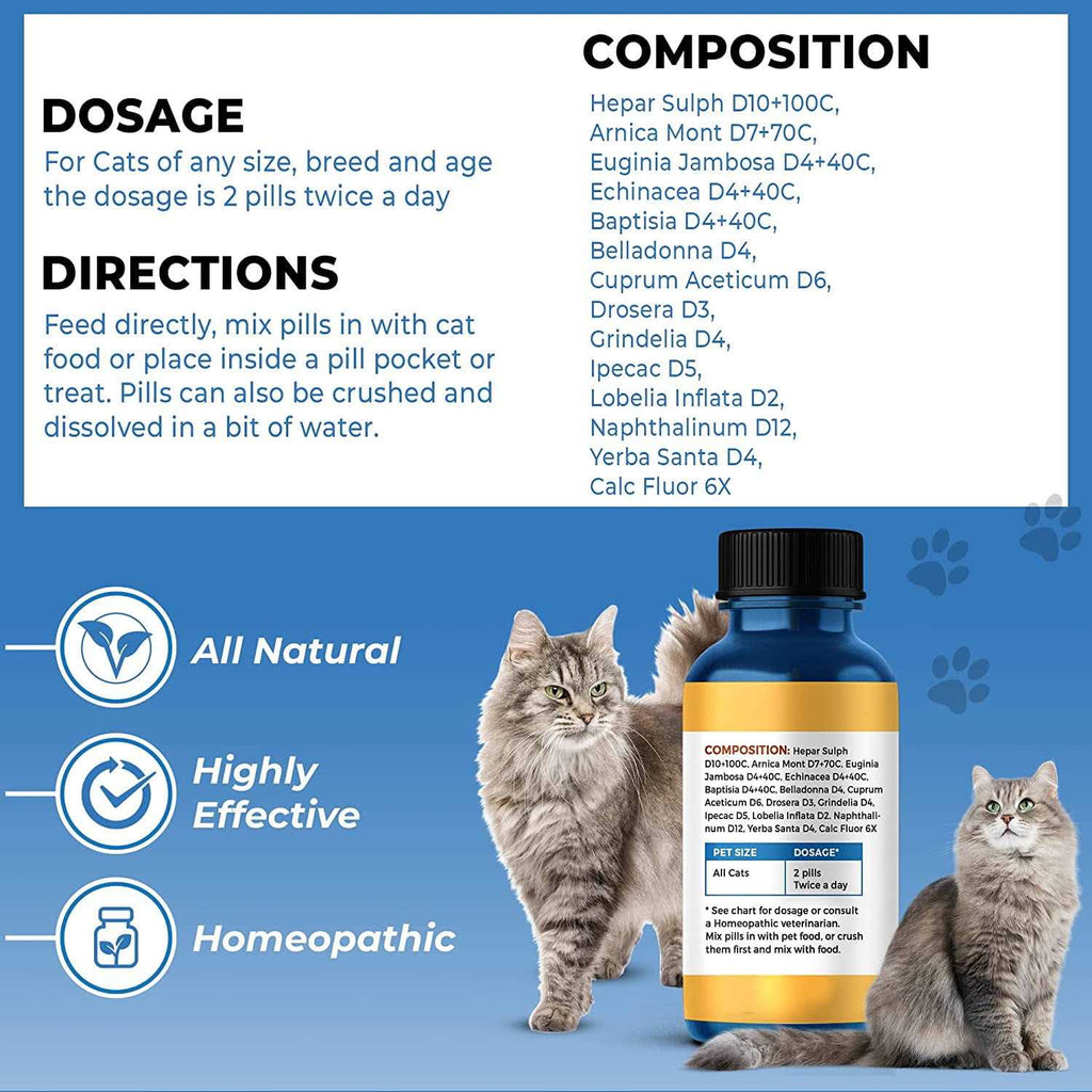 Breathe Easy for Cat Z313