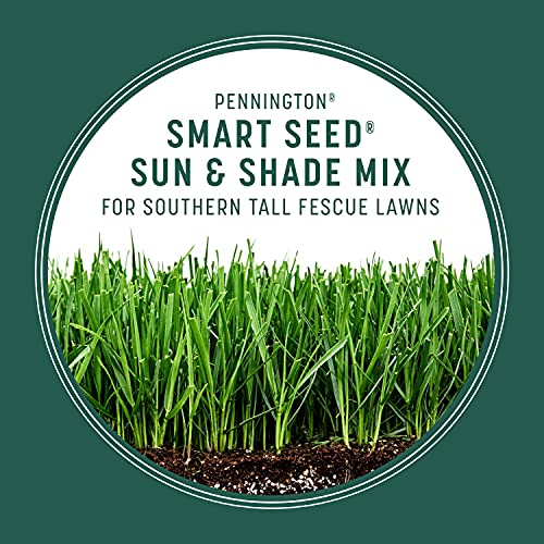 7 lb Tall Fescue Grass Seed Mix L7646