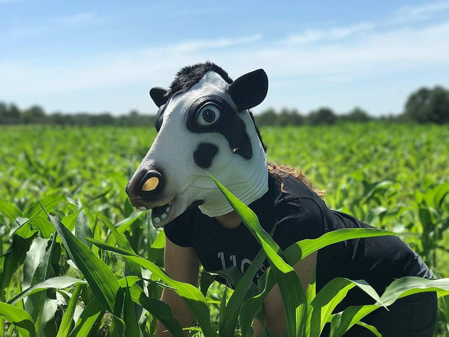 Cow Head Mask (black) P491064