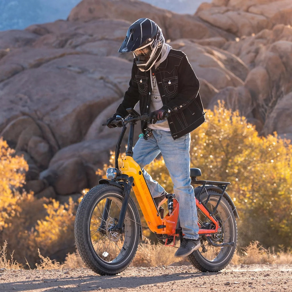 Electric Bike 750W Foldable Ebike with 48V 14.4AH Removable Battery 24" x 4.0" Fat Tire Step-Thru Electric Bicycle V450
