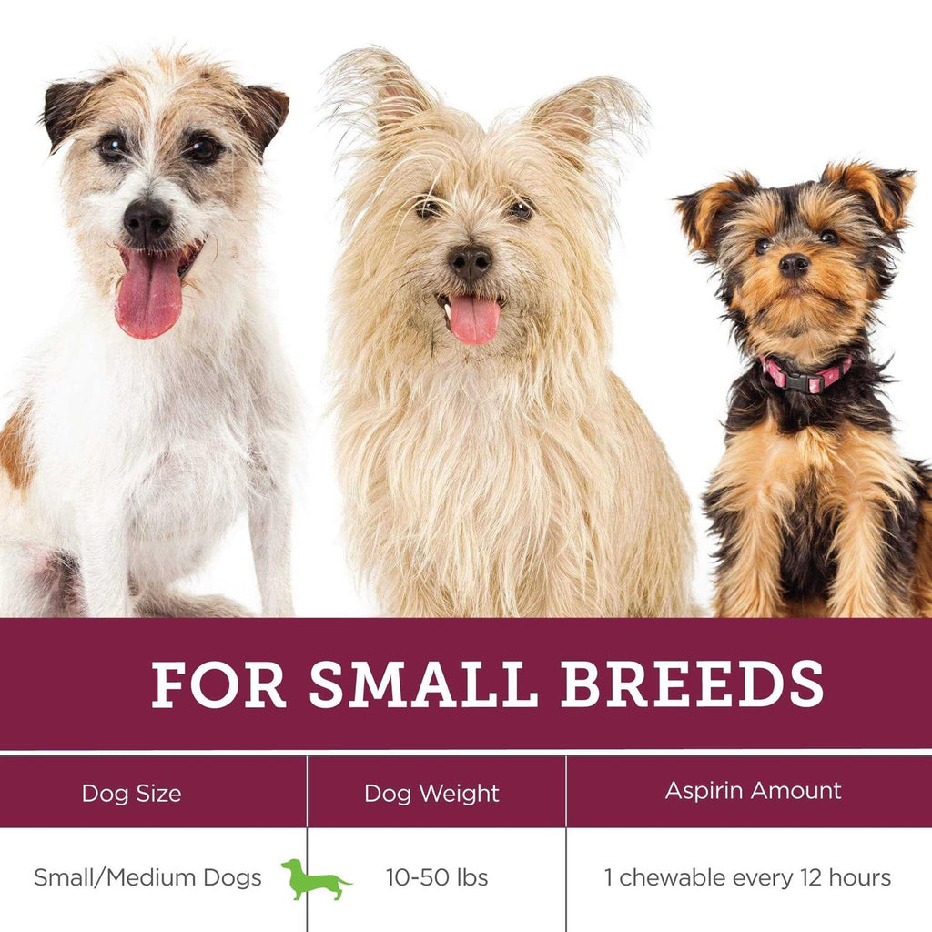 Canine Aspirin W80375