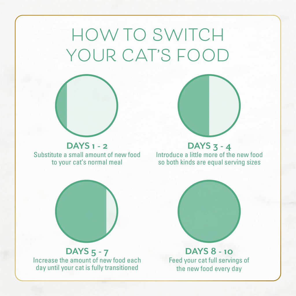Dry Cat Food with Ocean Fish and Salmon R731698