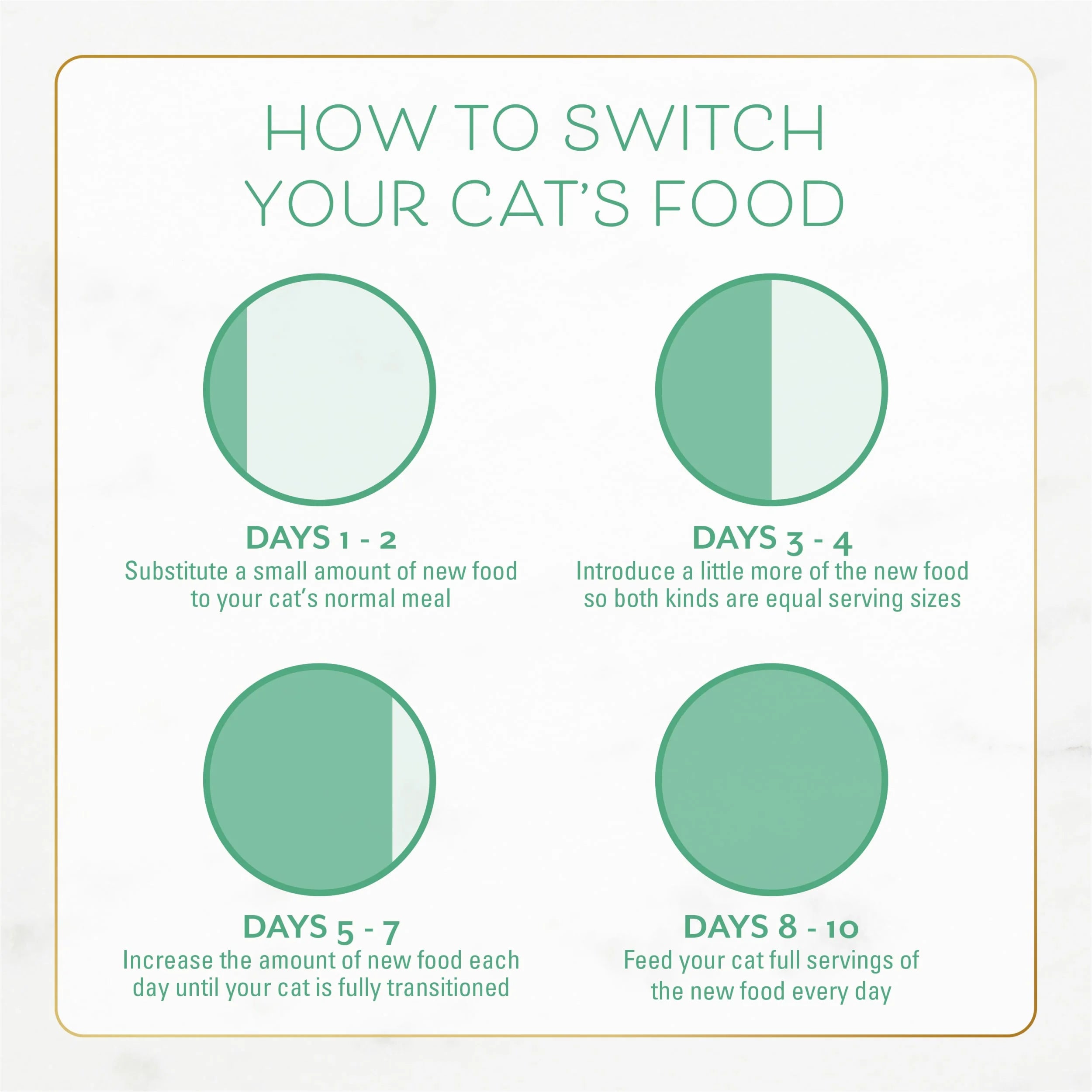 Dry Cat Food with Ocean Fish and Salmon R731698