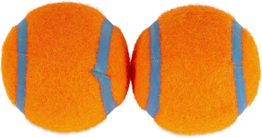 Medium 2.5 Inch Diameter Dog Tennis Ball Pack of 2 T679