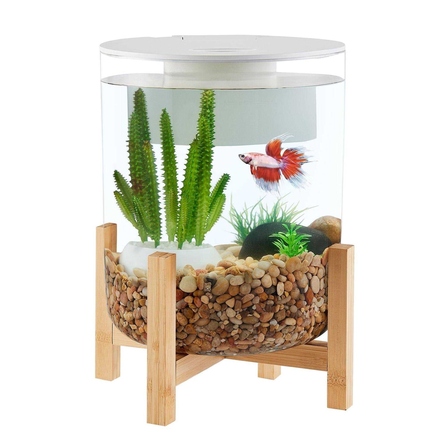Bamboo Baseal Aquarium I87302