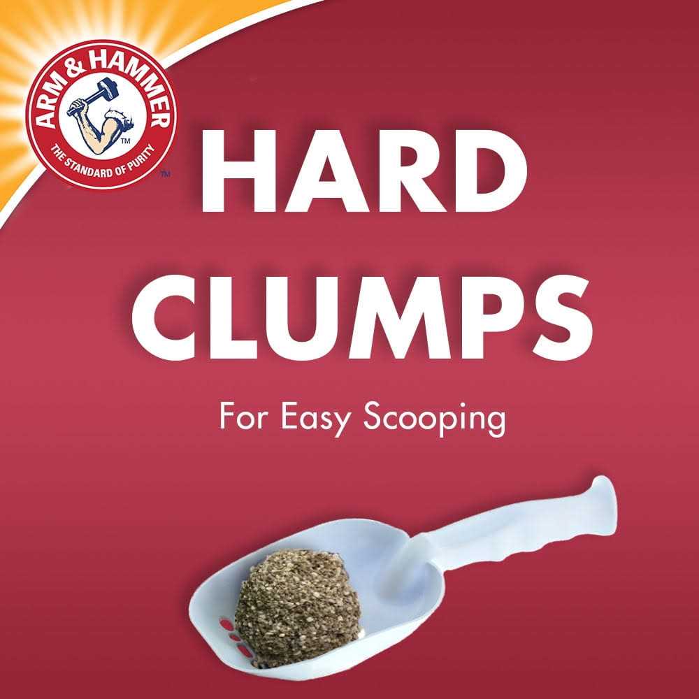 Double Duty Clumping Litter S933